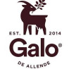JOSE GALO